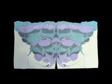 Flutterby